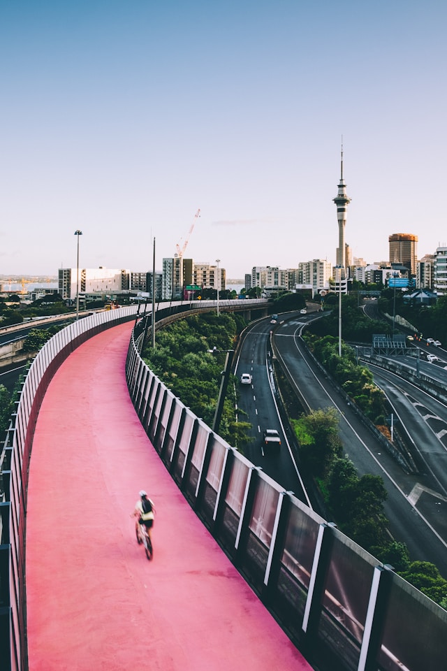 auckland new zealand city view