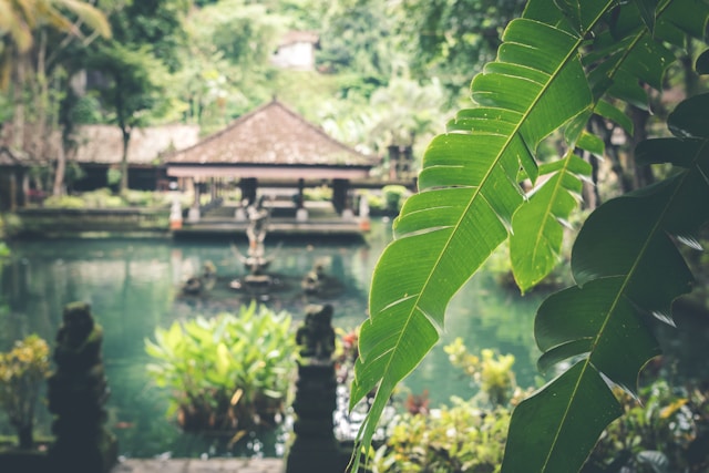 bali indonesia temple jungle