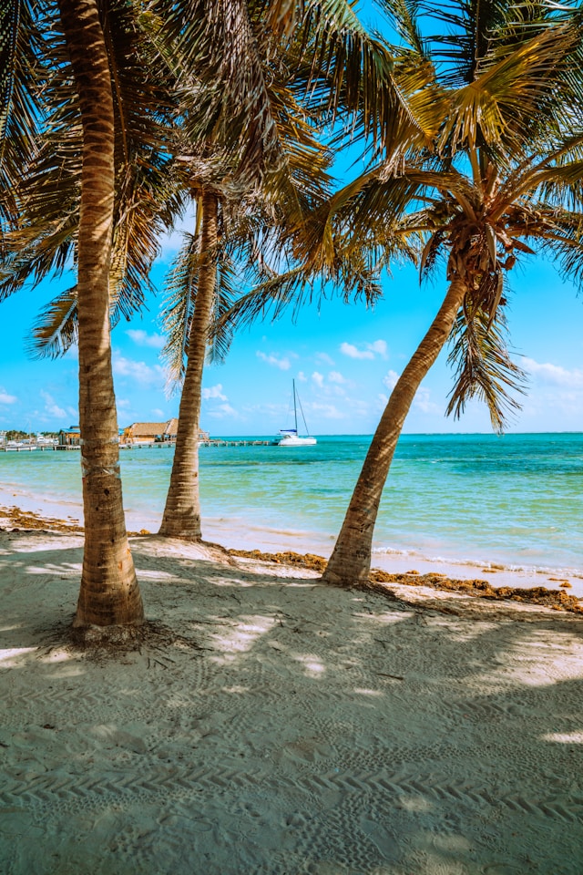 belize relax beach travel