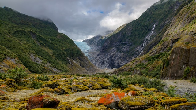 franz josef glacier new zealand