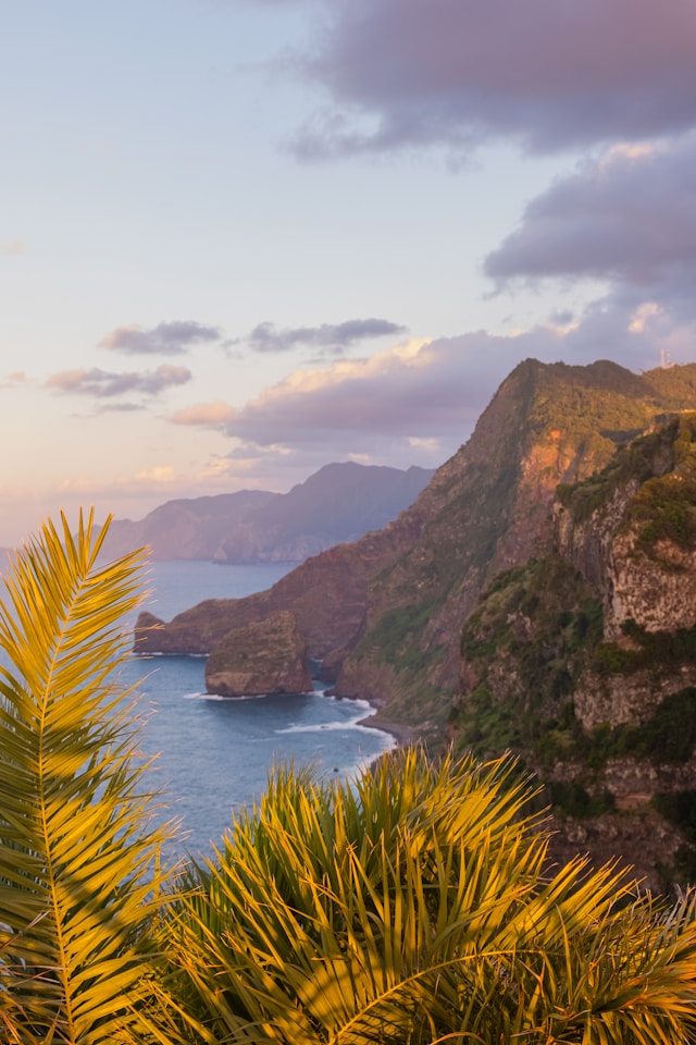 madeira cliffs sea