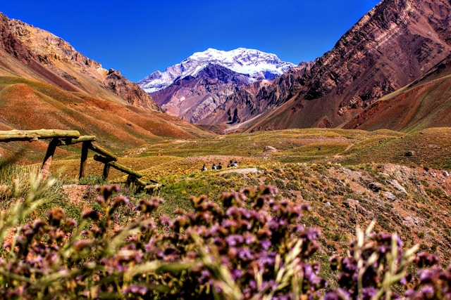 mendoza argentina