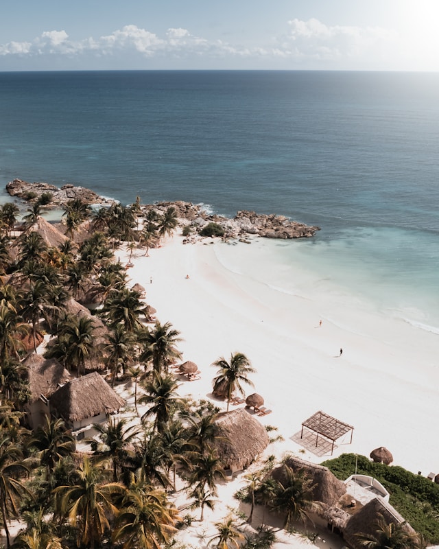 tulum beach sea palms mexico