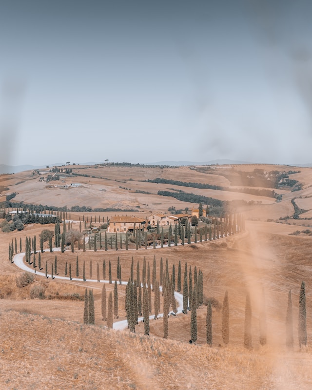 tuscany road cypress italy toscana